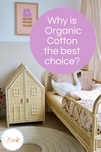 Why Is Organic Cotton An important Choice?