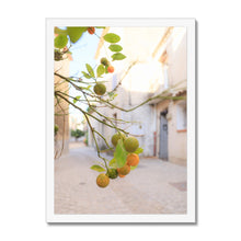 Load image into Gallery viewer, Kumquat Framed Print
