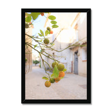 Load image into Gallery viewer, Kumquat Framed Print
